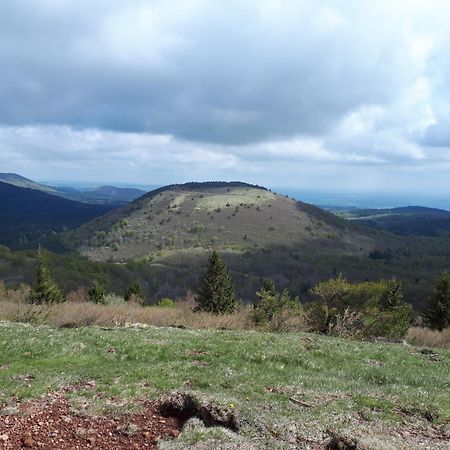 לינה וארוחת בוקר Saint-Victor-Montvianeix Domaine De Montvianeix מראה חיצוני תמונה